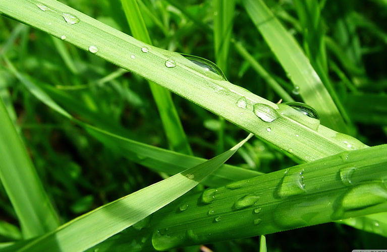 image-environmentallyfriendly-rainsmart